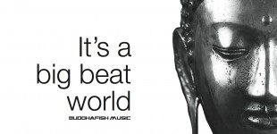 Buddhafish Music is destined to be Montreal's hottest new Record Label
